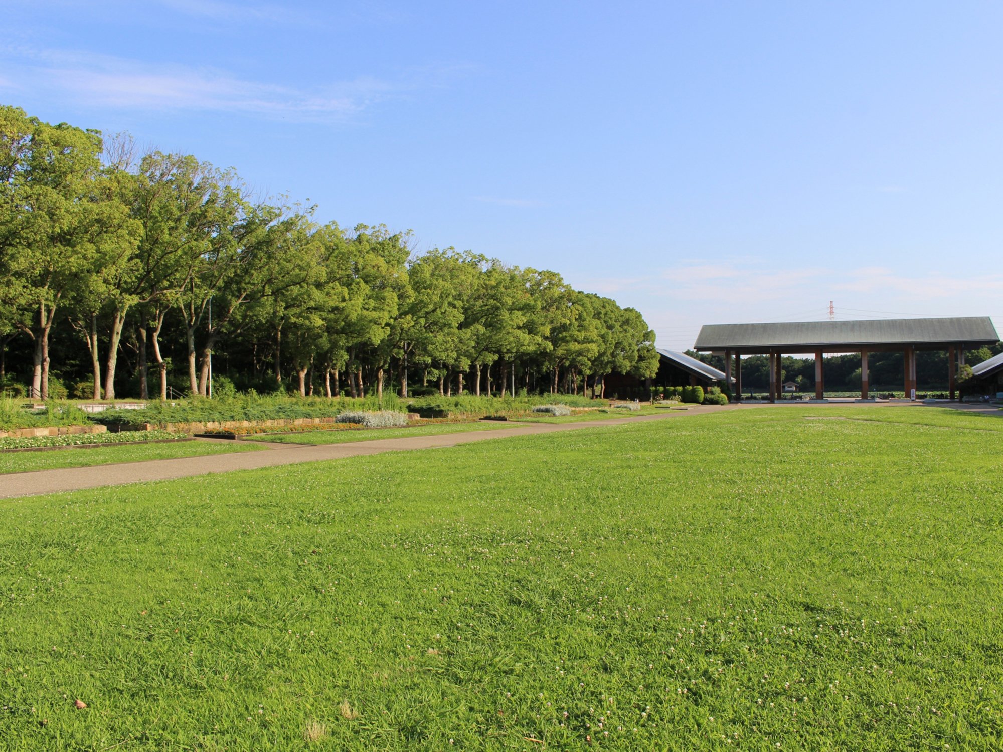 🌳 오이즈미 녹지(오이즈미료쿠치) 이미지 4